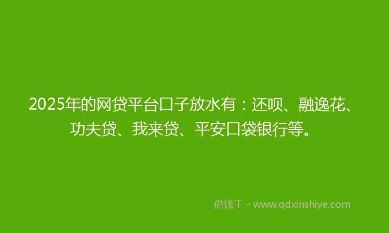 2025年的网贷平台口子放水有：还呗、融逸花、功夫贷、我来贷、平安口袋银行等。