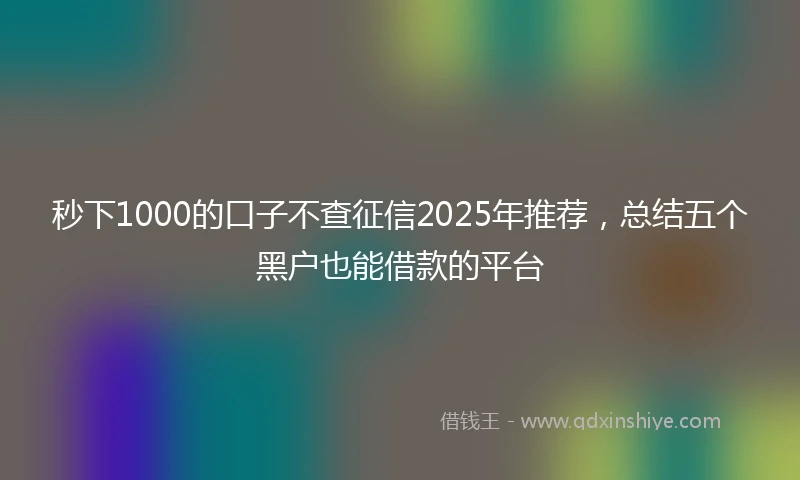 秒下1000的口子不查征信2025年推荐，总结五个黑户也能借款的平台