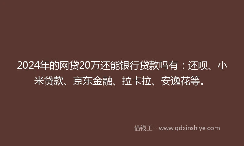 2024年的网贷20万还能银行贷款吗有：还呗、小米贷款、京东金融、拉卡拉、安逸花等。
