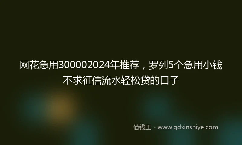 网花急用300002024年推荐，罗列5个急用小钱不求征信流水轻松贷的口子