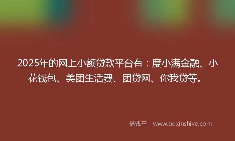 2025年的网上小额贷款平台有：度小满金融、小花钱包、美团生活费、团贷网、你我贷等。