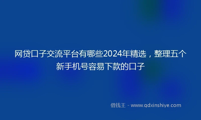 网贷口子交流平台有哪些2024年精选，整理五个新手机号容易下款的口子