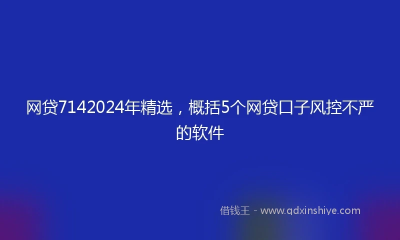 网贷7142024年精选，概括5个网贷口子风控不严的软件