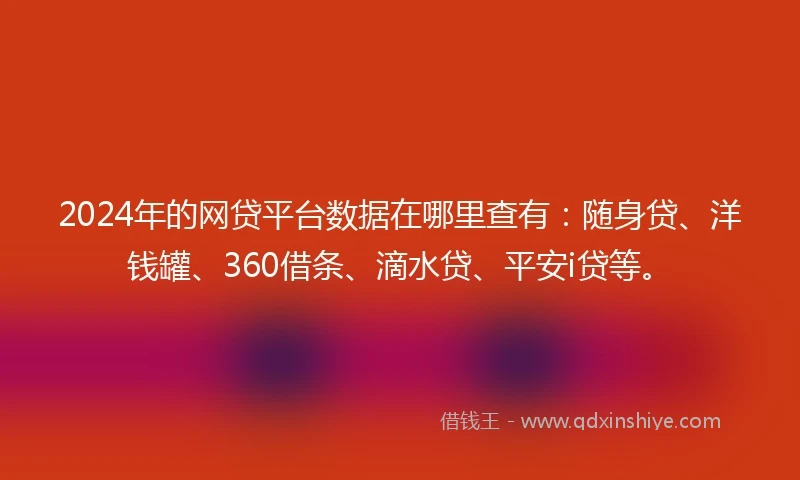 2024年的网贷平台数据在哪里查有：随身贷、洋钱罐、360借条、滴水贷、平安i贷等。