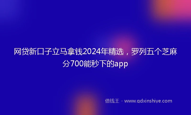 网贷新口子立马拿钱2024年精选，罗列五个芝麻分700能秒下的app