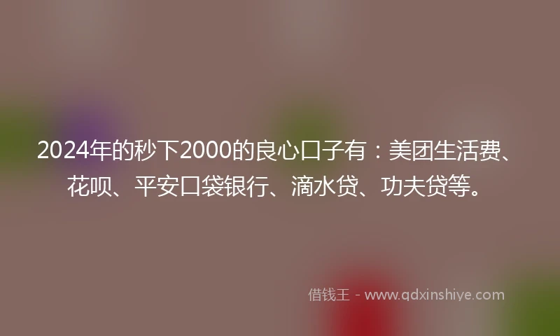 2024年的秒下2000的良心口子有：美团生活费、花呗、平安口袋银行、滴水贷、功夫贷等。