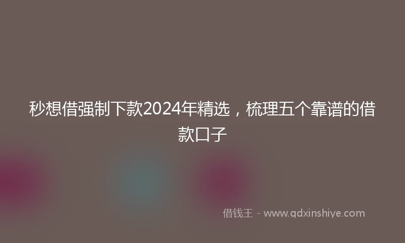 秒想借强制下款2024年精选，梳理五个靠谱的借款口子