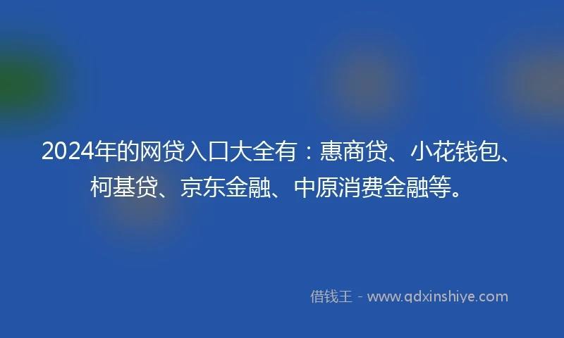 2024年的网贷入口大全有：惠商贷、小花钱包、柯基贷、京东金融、中原消费金融等。