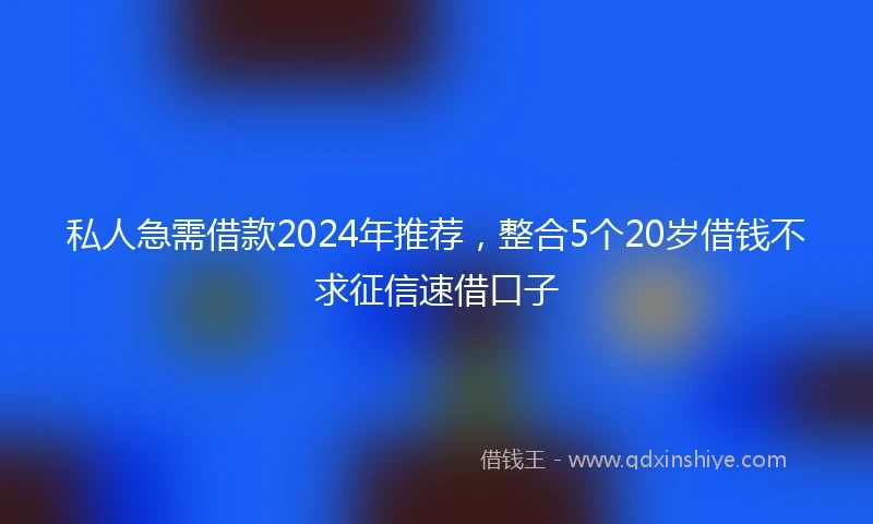 私人急需借款2024年推荐，整合5个20岁借钱不求征信速借口子