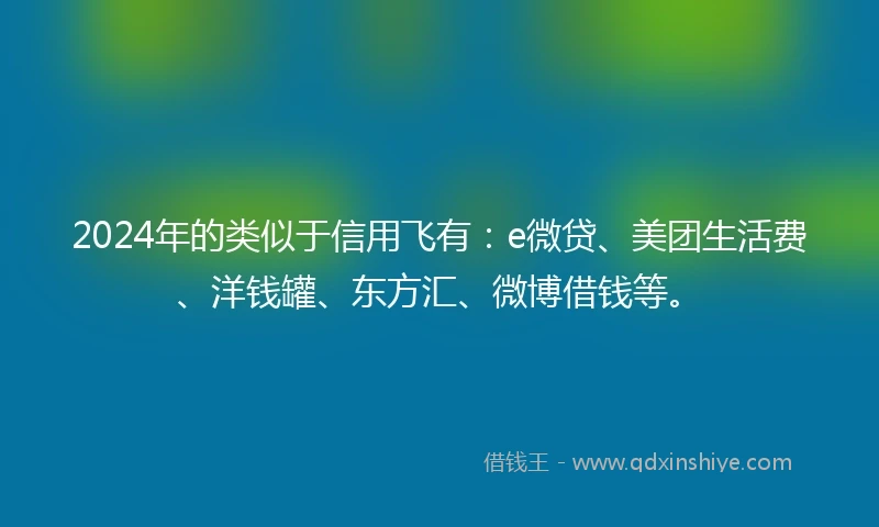 2024年的类似于信用飞有：e微贷、美团生活费、洋钱罐、东方汇、微博借钱等。