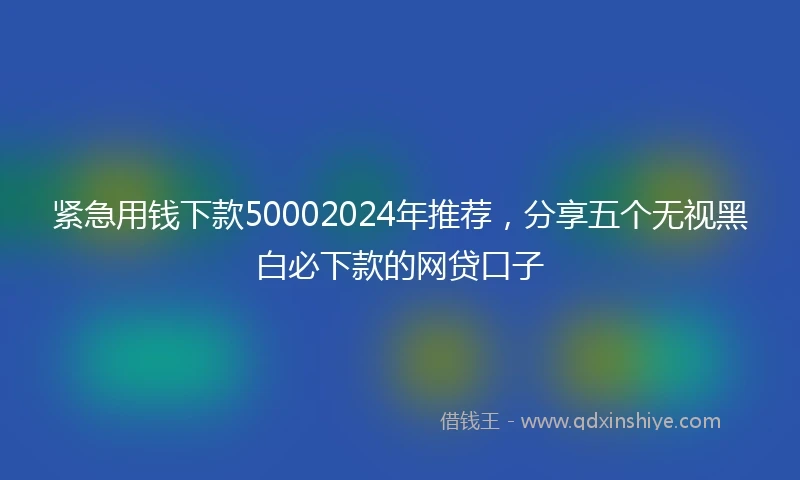 紧急用钱下款50002024年推荐，分享五个无视黑白必下款的网贷口子