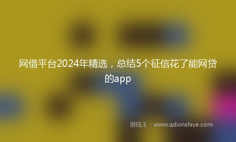 网借平台2024年精选，总结5个征信花了能网贷的app