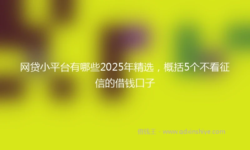 网贷小平台有哪些2025年精选，概括5个不看征信的借钱口子