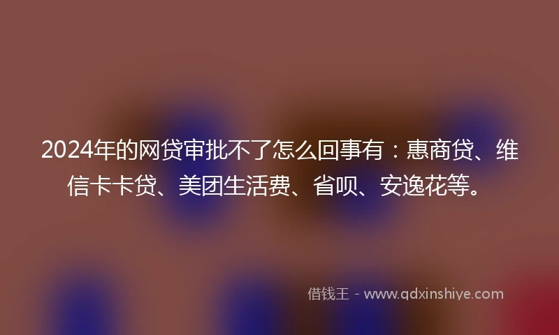 2024年的网贷审批不了怎么回事有：惠商贷、维信卡卡贷、美团生活费、省呗、安逸花等。
