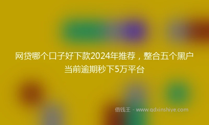 网贷哪个口子好下款2024年推荐，整合五个黑户当前逾期秒下5万平台