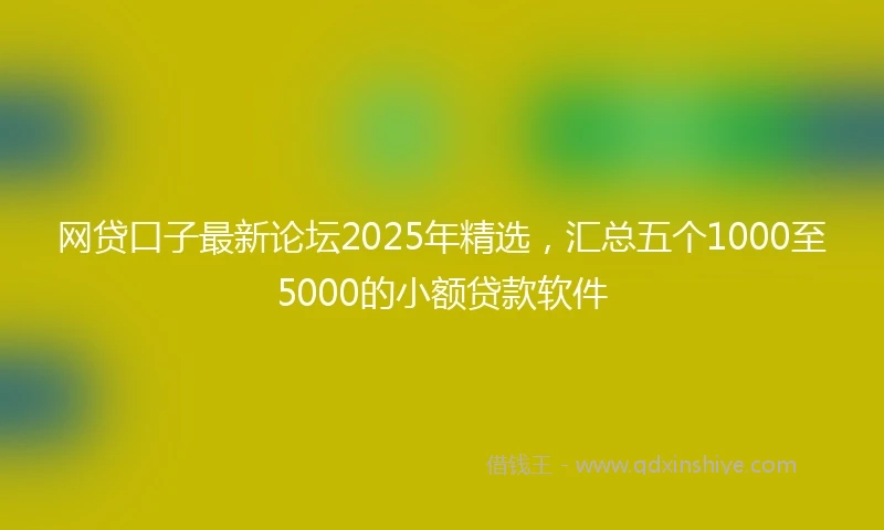 网贷口子最新论坛2025年精选，汇总五个1000至5000的小额贷款软件