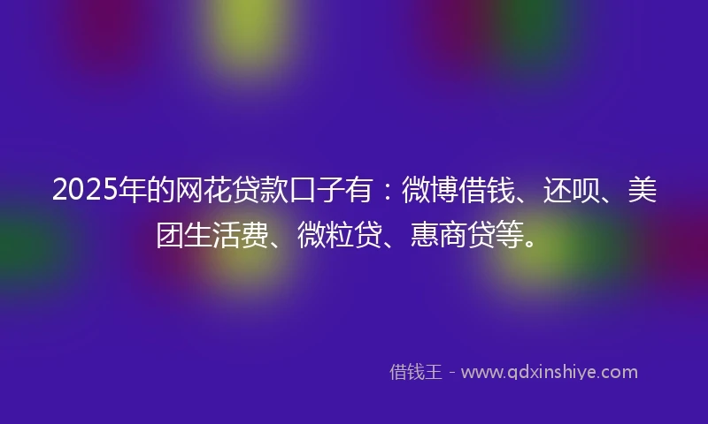 2025年的网花贷款口子有：微博借钱、还呗、美团生活费、微粒贷、惠商贷等。