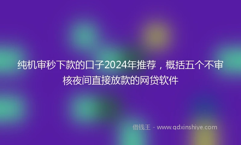 纯机审秒下款的口子2024年推荐，概括五个不审核夜间直接放款的网贷软件