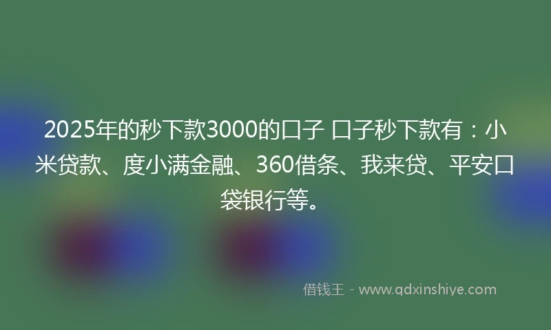 2025年的秒下款3000的口子 口子秒下款有：小米贷款、度小满金融、360借条、我来贷、平安口袋银行等。