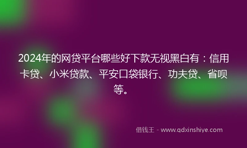 2024年的网贷平台哪些好下款无视黑白有：信用卡贷、小米贷款、平安口袋银行、功夫贷、省呗等。