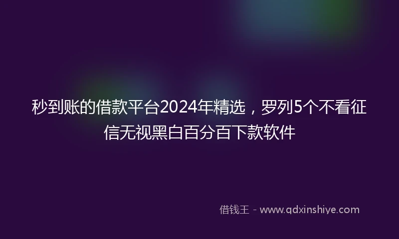 秒到账的借款平台2024年精选，罗列5个不看征信无视黑白百分百下款软件