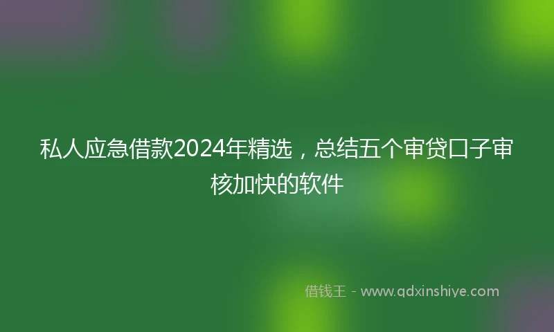 私人应急借款2024年精选，总结五个审贷口子审核加快的软件