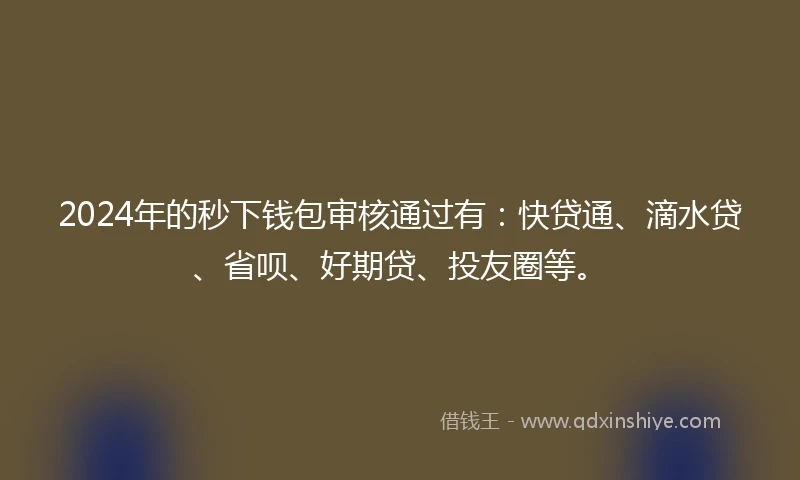 2024年的秒下钱包审核通过有：快贷通、滴水贷、省呗、好期贷、投友圈等。