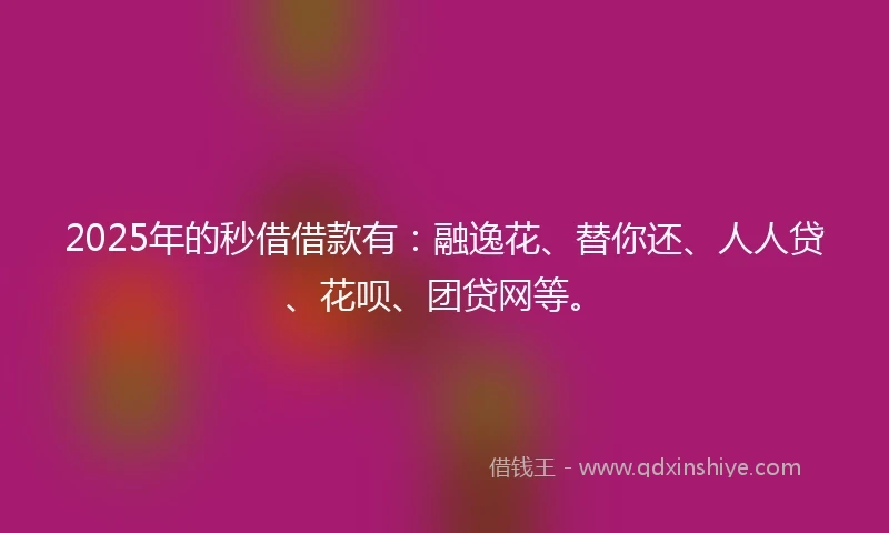 2025年的秒借借款有：融逸花、替你还、人人贷、花呗、团贷网等。