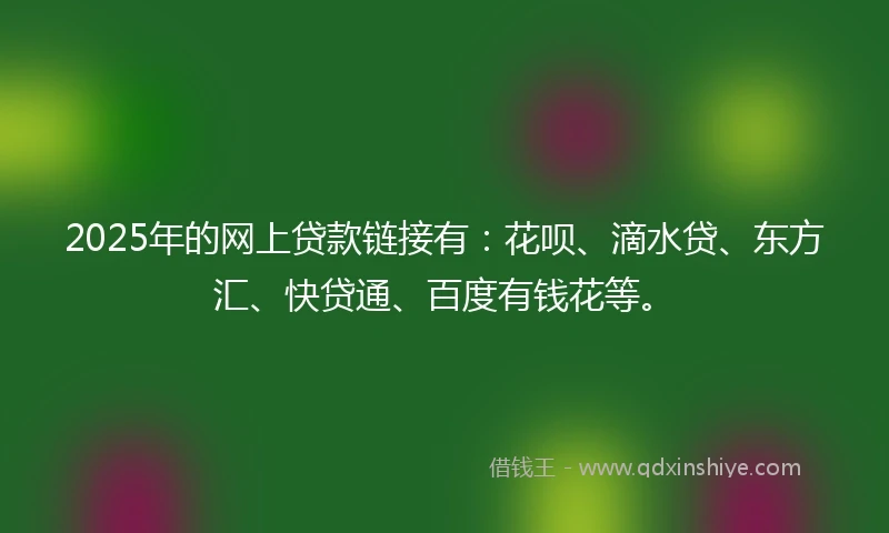 2025年的网上贷款链接有：花呗、滴水贷、东方汇、快贷通、百度有钱花等。