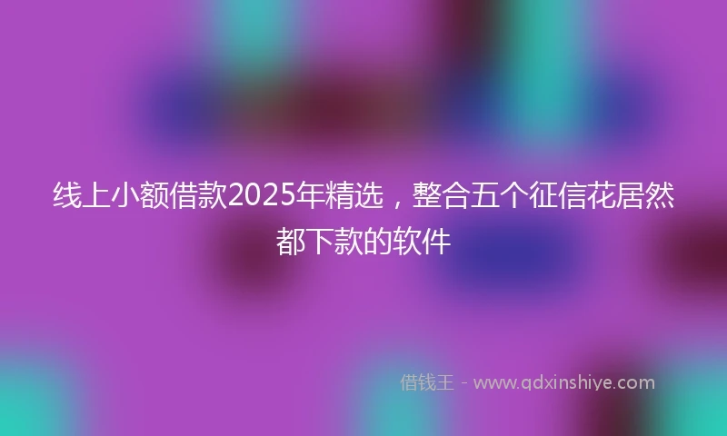 线上小额借款2025年精选，整合五个征信花居然都下款的软件