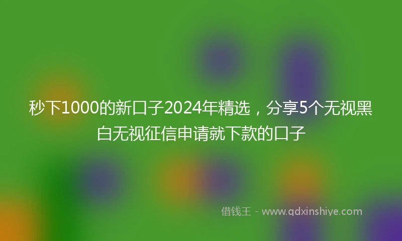 秒下1000的新口子2024年精选，分享5个无视黑白无视征信申请就下款的口子
