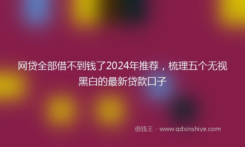 网贷全部借不到钱了2024年推荐，梳理五个无视黑白的最新贷款口子