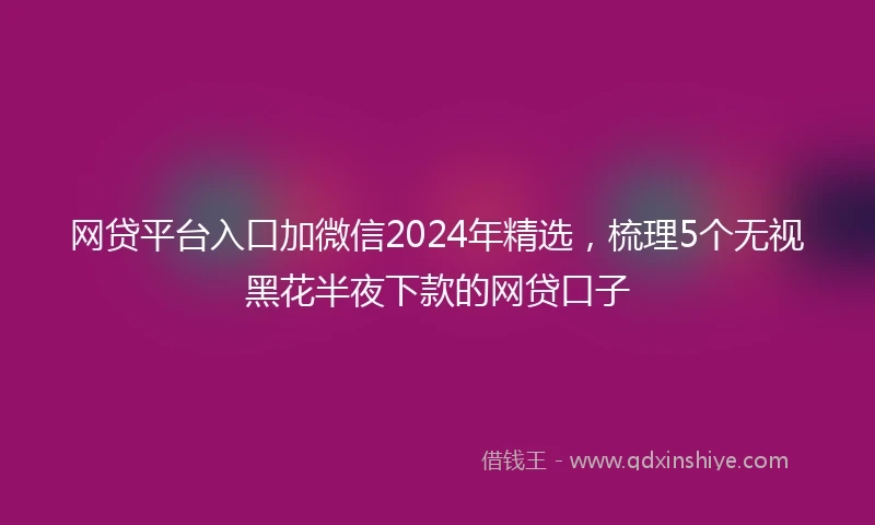 网贷平台入口加微信2024年精选，梳理5个无视黑花半夜下款的网贷口子