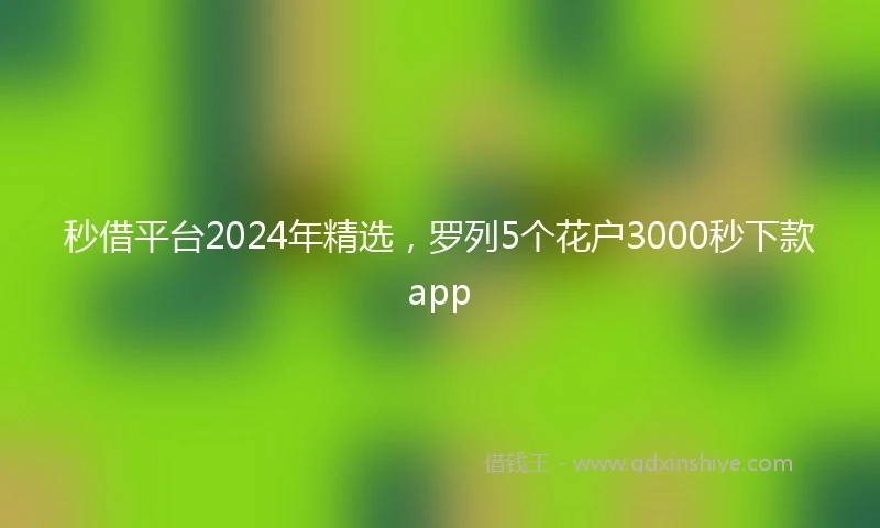 秒借平台2024年精选，罗列5个花户3000秒下款app