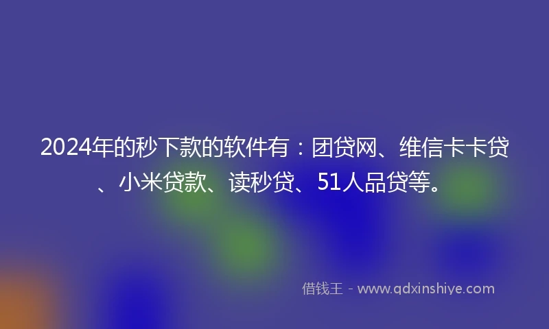 2024年的秒下款的软件有：团贷网、维信卡卡贷、小米贷款、读秒贷、51人品贷等。