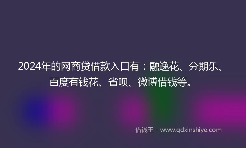2024年的网商贷借款入口有：融逸花、分期乐、百度有钱花、省呗、微博借钱等。