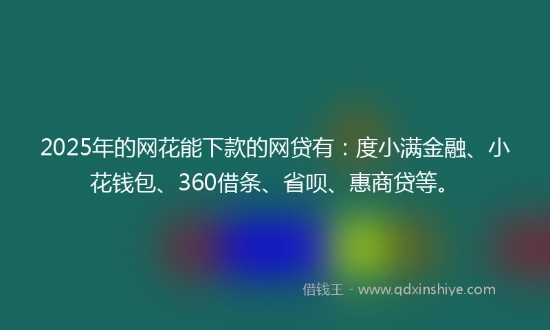 2025年的网花能下款的网贷有：度小满金融、小花钱包、360借条、省呗、惠商贷等。