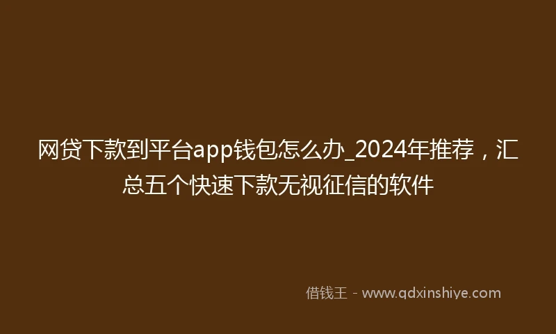 网贷下款到平台app钱包怎么办_2024年推荐,汇总五个快速下款无视征信的软件