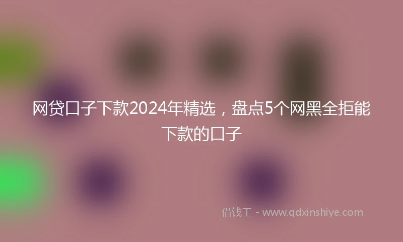 网贷口子下款2024年精选，盘点5个网黑全拒能下款的口子
