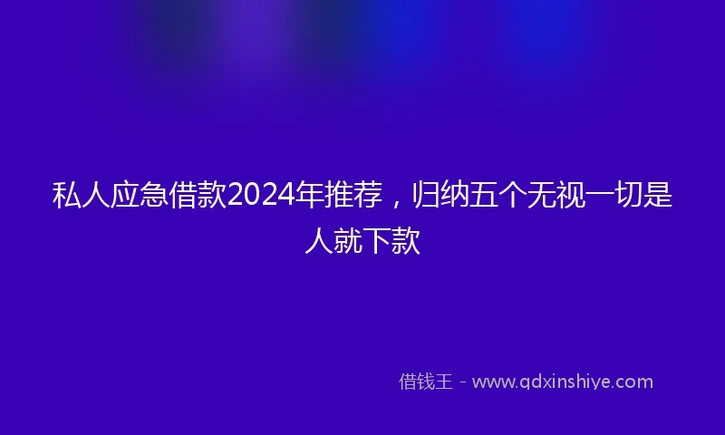 私人应急借款2024年推荐，归纳五个无视一切是人就下款