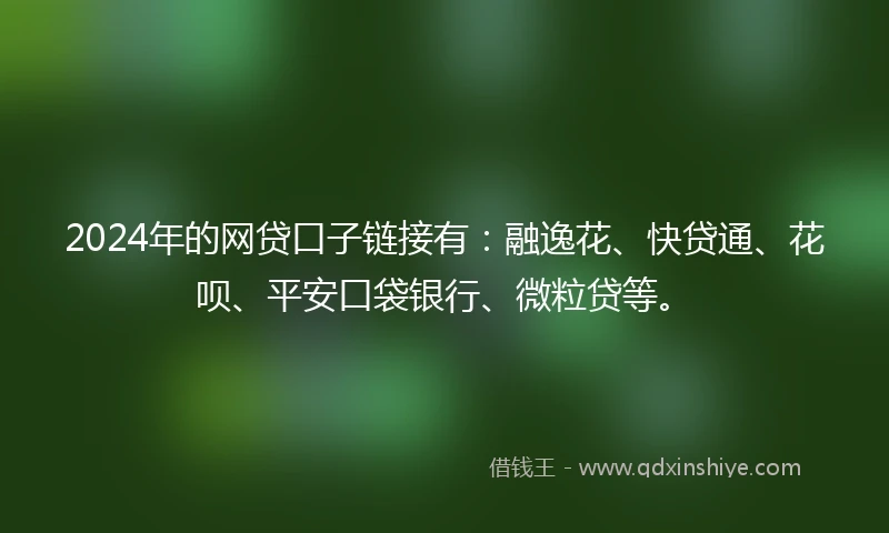 2024年的网贷口子链接有：融逸花、快贷通、花呗、平安口袋银行、微粒贷等。