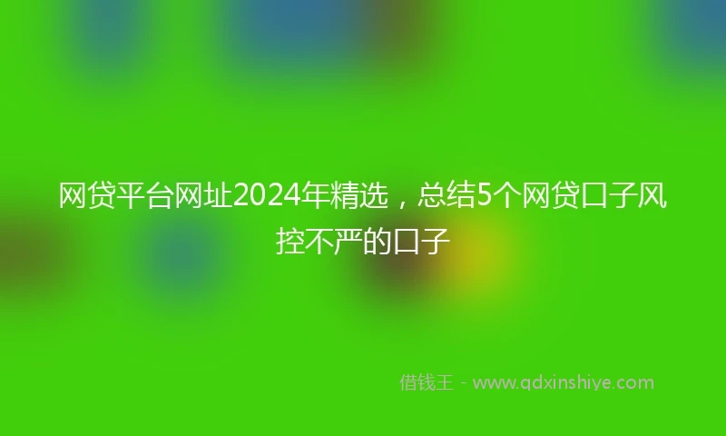 网贷平台网址2024年精选，总结5个网贷口子风控不严的口子