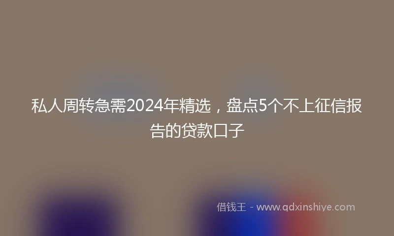 私人周转急需2024年精选，盘点5个不上征信报告的贷款口子