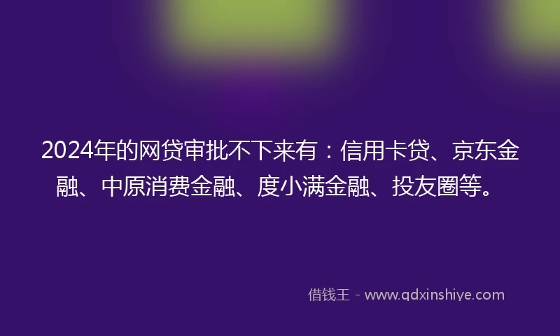 2024年的网贷审批不下来有：信用卡贷、京东金融、中原消费金融、度小满金融、投友圈等。