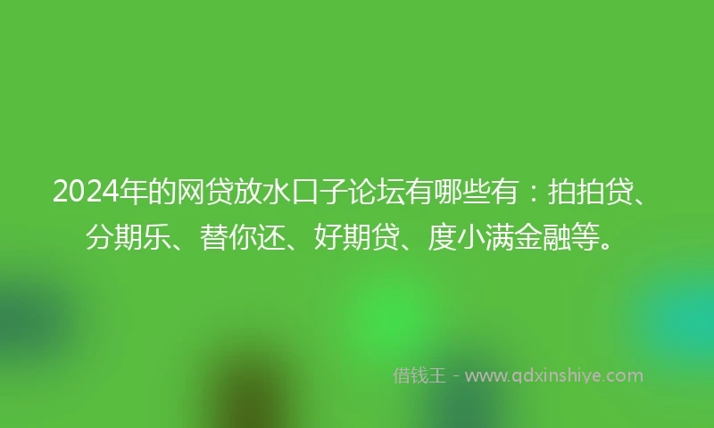 2024年的网贷放水口子论坛有哪些有：拍拍贷、分期乐、替你还、好期贷、度小满金融等。