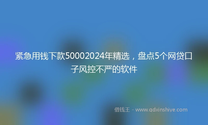 紧急用钱下款50002024年精选，盘点5个网贷口子风控不严的软件