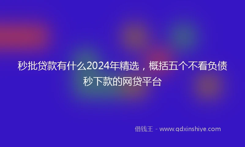 秒批贷款有什么2024年精选，概括五个不看负债秒下款的网贷平台