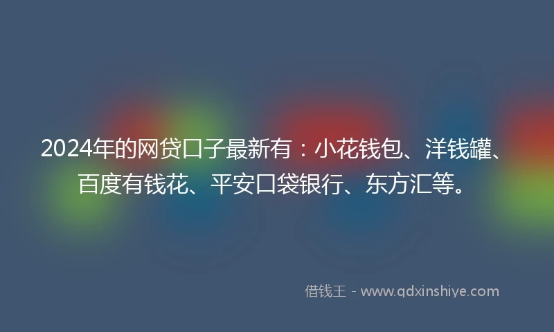 2024年的网贷口子最新有：小花钱包、洋钱罐、百度有钱花、平安口袋银行、东方汇等。