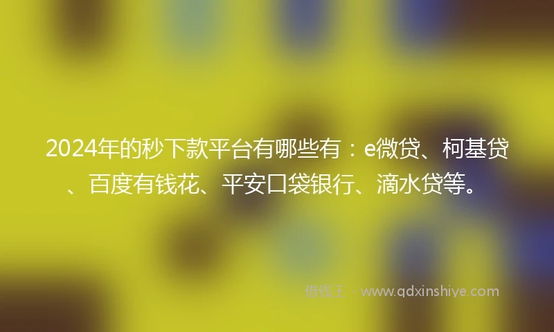 2024年的秒下款平台有哪些有：e微贷、柯基贷、百度有钱花、平安口袋银行、滴水贷等。