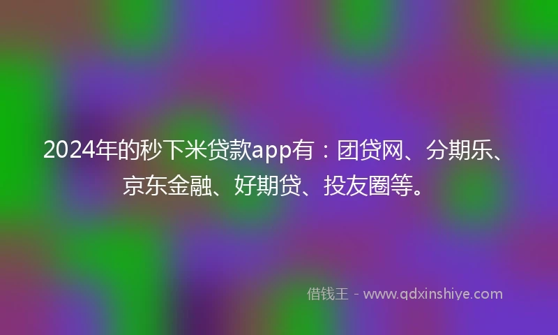 2024年的秒下米贷款app有：团贷网、分期乐、京东金融、好期贷、投友圈等。